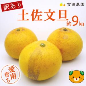 ふるさと納税 愛南町 【先行予約】数量限定 訳あり 土佐文旦 9kg 10000円 みかん 文旦 吉...