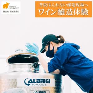 ふるさと納税 境町 ワイン醸造体験 1名様利用券 ワイン1本付き ワイナリー見学 試飲 赤 白 ギフ...