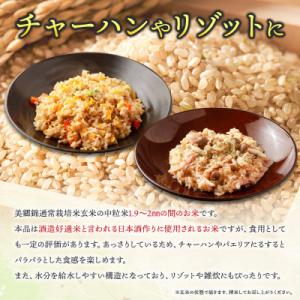ふるさと納税 美郷町 新米受付 令和8年産 玄...の詳細画像2