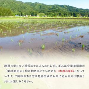 ふるさと納税 美郷町 新米受付 令和8年産 玄...の詳細画像3