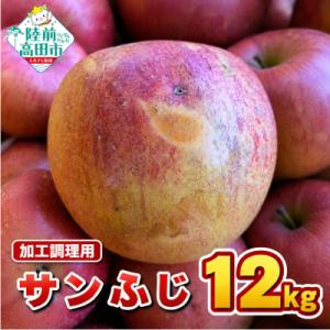 ふるさと納税 陸前高田市 【先行受付】 加工調理用 りんご サンふじ 約12kg 家庭用 訳あり リンゴ フルーツ 大容量