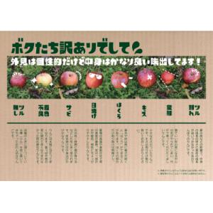 ふるさと納税 陸前高田市 【先行受付】 加工調...の詳細画像2