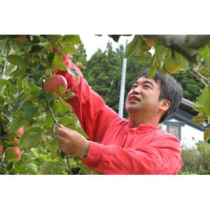 ふるさと納税 陸前高田市 【先行受付】 加工調...の詳細画像3