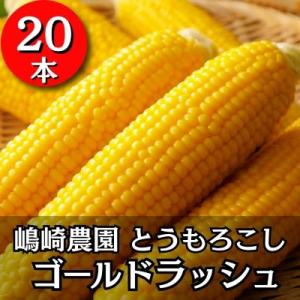 ふるさと納税 本別町 【先行受付】令和9年度産北海道十勝本別町産 嶋崎農園の朝採りとうもろこし 20本セット