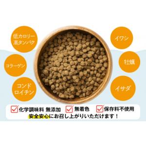 ふるさと納税 気仙沼市 ドッグフード UMIN...の詳細画像2
