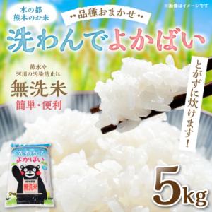 ふるさと納税 八代市 《令和7年産》 洗わんでよかばい 5kg 米 お米 精米 無洗米_149-3144-E