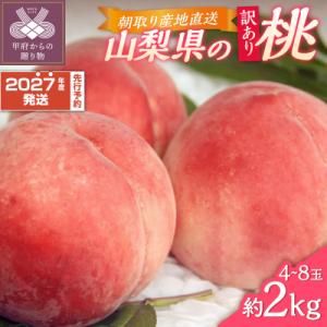 ふるさと納税 甲府市 〈2027年度配送分〉甲府市産 訳あり桃 約2kg(4〜8玉)