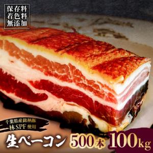 ふるさと納税 江東区 生ベーコン《国産銘柄豚 林SPFプレミアムポーク》500本 100kg【kt088-005-14】