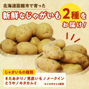 ふるさと納税 函館市 北海道函館産【訳あり】じ...の詳細画像1