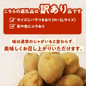 ふるさと納税 函館市 北海道函館産【訳あり】じ...の詳細画像2