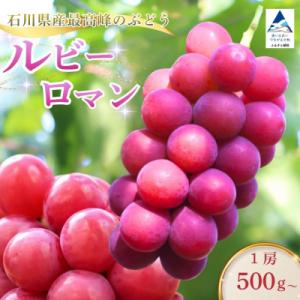 ふるさと納税 小松市 【2027年先行予約】 ルビーロマン ぶどう 葡萄 大粒 1房 500g 以上...