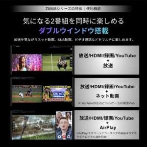 ふるさと納税 川崎市 TVS REGZA【標準...の詳細画像1