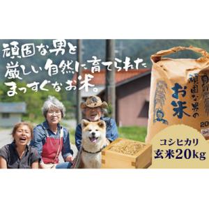 ふるさと納税 山口市 頑固な男のお米(コシヒカリ)玄米20kg C131