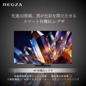 ふるさと納税 川崎市 TVS REGZA【標準...の詳細画像2