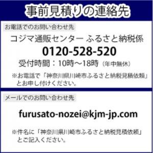 ふるさと納税 川崎市 TVS REGZA【標準...の詳細画像2