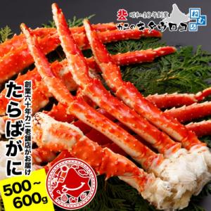 ふるさと納税 根室市 たらばがにの脚500〜600g×1肩 A-25029