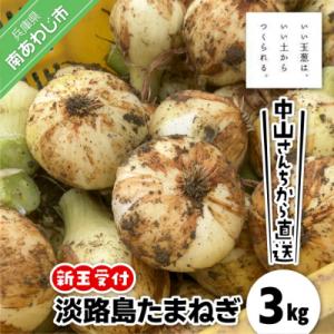 ふるさと納税 南あわじ市 【新玉予約!】中山さんちから直送 淡路島たまねぎ 3kg　◆R9.3月下旬...