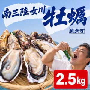 ふるさと納税 岩沼市 殻付き牡蠣 生食可 2.5kg 南三陸 宮城 女川 岩沼市