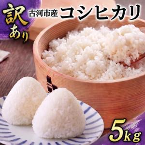 ふるさと納税 古河市 【訳あり】令和7年 古河市産 コシヒカリ 5kg | 米 こめ コメ 5キロ こしひかり コシヒカリ