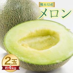 ふるさと納税 八代市 【先行予約】 熊本県 八代市産 肥後グリーン 約4kg (2玉入)_191-4...