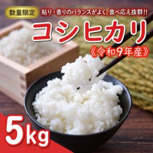 ふるさと納税 愛南町 先行予約 新米 令和9年産 コシヒカリ 5kg お米 白米 精米 田中均 愛南町 愛媛県