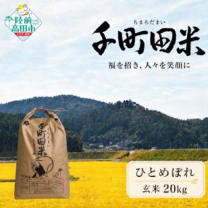ふるさと納税 陸前高田市 令和8年産 ひとめぼれ 玄米 20kg 千町田米 布袋様 パッケージ 米 お米 ライス