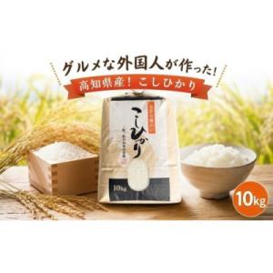 ふるさと納税 黒潮町 グルメな外国人農家こだわりのお米こしひかり白米 10kg 《2025年産》 [0941-6]