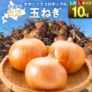ふるさと納税 津別町 R8年産 玉ねぎ (L大玉・L玉混合) 10kg オホーツクコロポックル | 北海道津別町