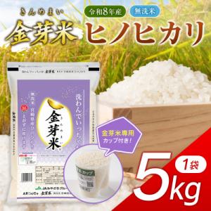 ふるさと納税 西都市 『金芽米』無洗米宮崎県産ヒノヒカリ5kg　令和8年産[3349]
