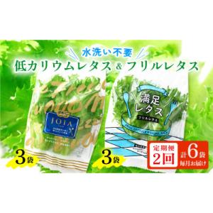 ふるさと納税 美浜町 【毎月定期便】低カリウムレタス&amp;フリルレタス6個セット全2回