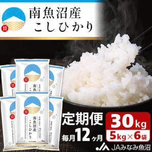 ふるさと納税 南魚沼市 【毎月定期便】南魚沼産こしひかり 精米 30kg(5kg×6袋) 全12回