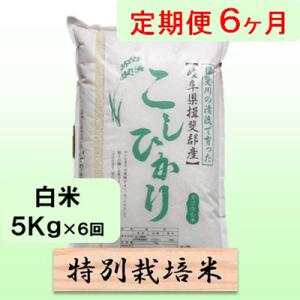 ふるさと納税 池田町 【毎月定期便】6ヶ月【令和8年産】特別栽培米5kg【白米】(コシヒカリ)全6回