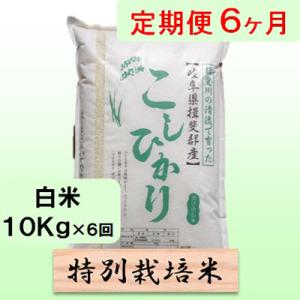 ふるさと納税 池田町 【毎月定期便】6ヶ月【令和7年産】特別栽培米10kg【白米】(コシヒカリ)全6回