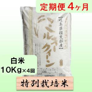 ふるさと納税 池田町 【毎月定期便】4ヶ月【令和7年産】特別栽培米10kg【白米】(ミルキークイーン)全4回