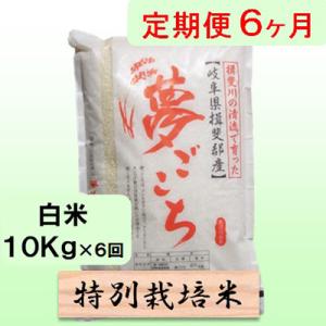 ふるさと納税 池田町 【毎月定期便】6ヶ月【令和7年産】特別栽培米10kg【白米】(夢ごこち)全6回