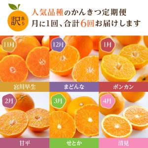 ふるさと納税 八幡浜市 【発送月固定定期便】愛...の詳細画像1