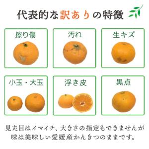 ふるさと納税 八幡浜市 【発送月固定定期便】愛...の詳細画像3