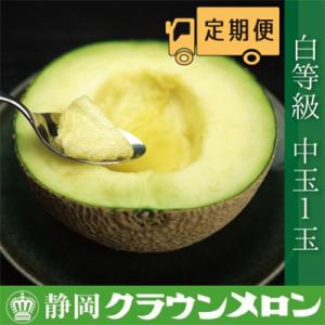 ふるさと納税 袋井市 【毎月定期便】クラウンメロン(白等級)中玉1玉・12ヵ月毎月お届け全12回