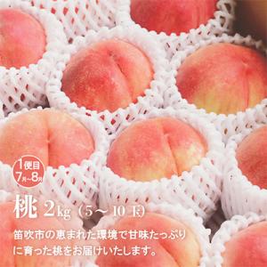 ふるさと納税 笛吹市 【発送月固定定期便】山梨...の詳細画像1
