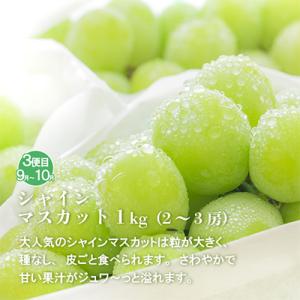 ふるさと納税 笛吹市 【発送月固定定期便】山梨...の詳細画像3