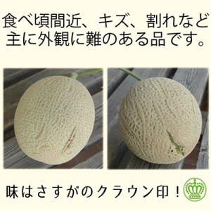 ふるさと納税 袋井市 【毎月定期便】【訳あり品...の詳細画像1