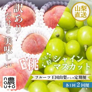 ふるさと納税 笛吹市 【発送月固定定期便】訳あり美味しい果物 小玉桃 粒シャインマスカット全2回