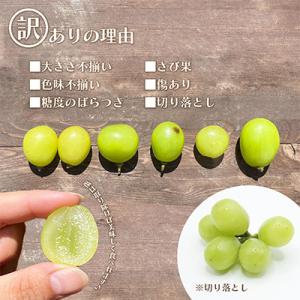ふるさと納税 笛吹市 【発送月固定定期便】訳あ...の詳細画像1