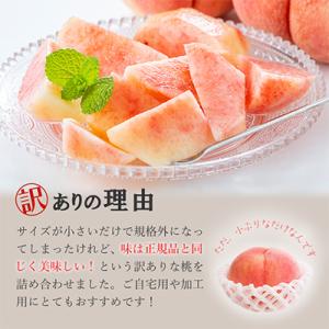 ふるさと納税 笛吹市 【発送月固定定期便】訳あ...の詳細画像2