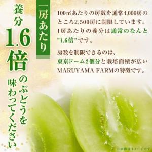 ふるさと納税 山梨市 【発送月固定定期便】【農...の詳細画像3