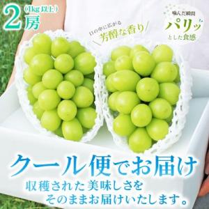 ふるさと納税 山梨市 【発送月固定定期便】20...の詳細画像2