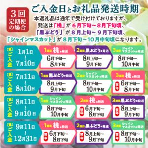 ふるさと納税 山梨市 【発送月固定定期便】20...の詳細画像3