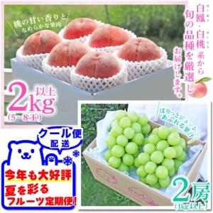 ふるさと納税 山梨市 【発送月固定定期便】20...の詳細画像2