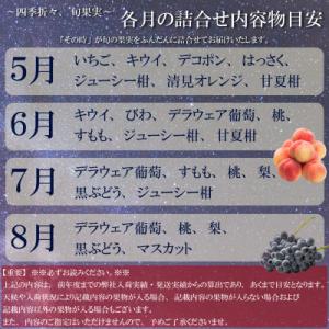 ふるさと納税 坂出市 【毎月定期便】旬を見極め...の詳細画像2