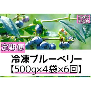 ふるさと納税 東通村 【2ヵ月毎定期便】青森県東通村産　冷凍ブルーベリー(500g入×4袋) 全6回